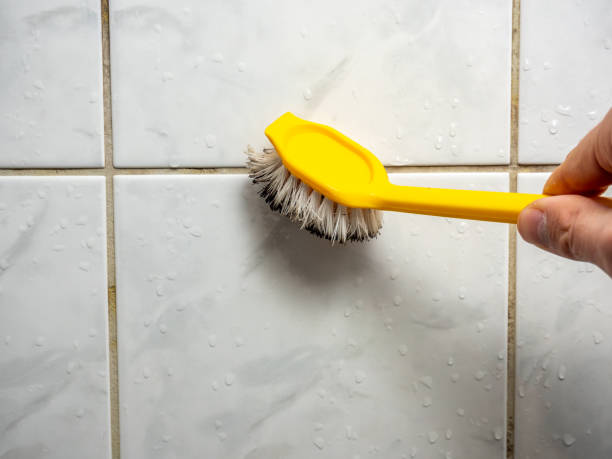Best Commercial Mold Removal  in Alexandria, IN