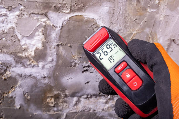 Best Black Mold Removal  in Alexandria, IN